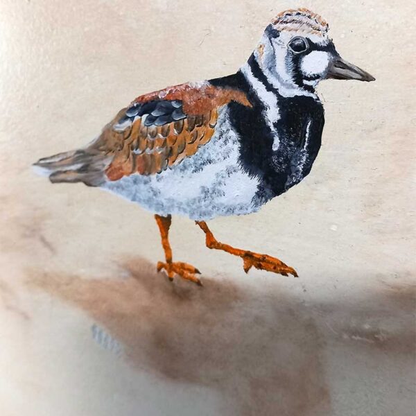 oiseau dessiné